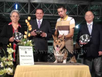 Clique sobre a foto para fechar